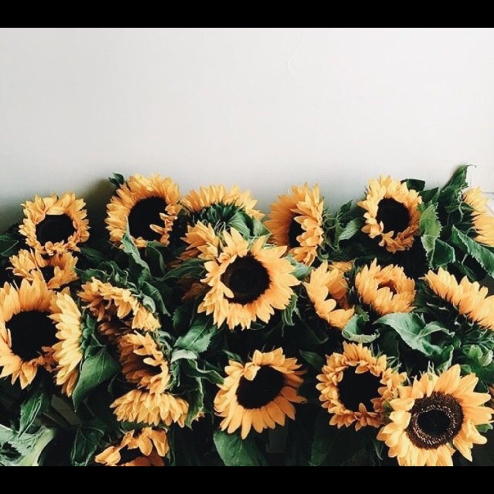 Meet your Posher, Lillian